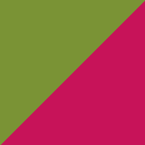 Pistache/Framboise