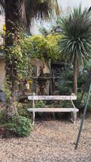 ENSEMBLE NEW ERA NO DRAMA - PRUNE